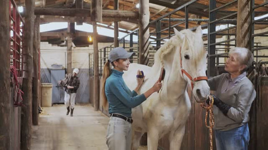 EquineSkys Advanced White Horse Shampoo