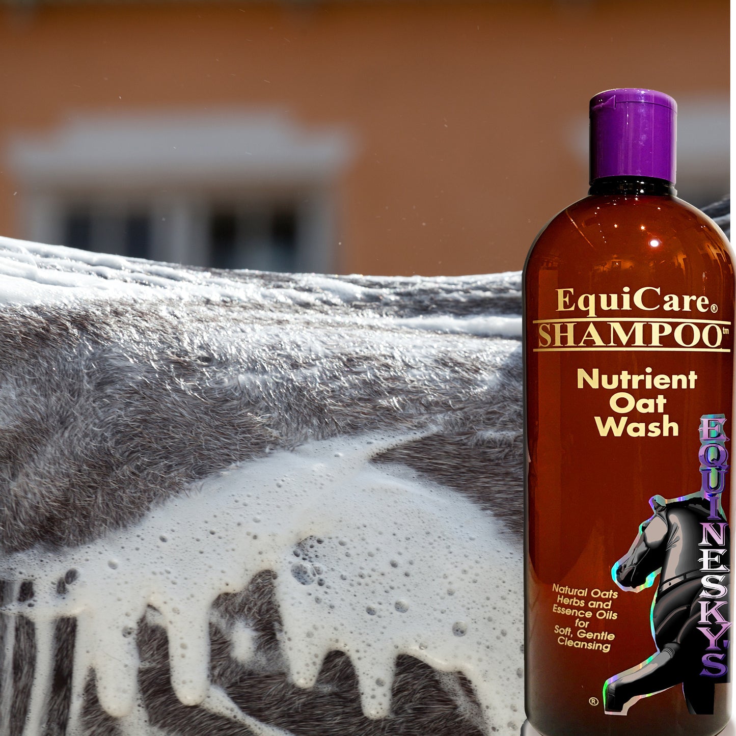 EquineSkys Shampoo™