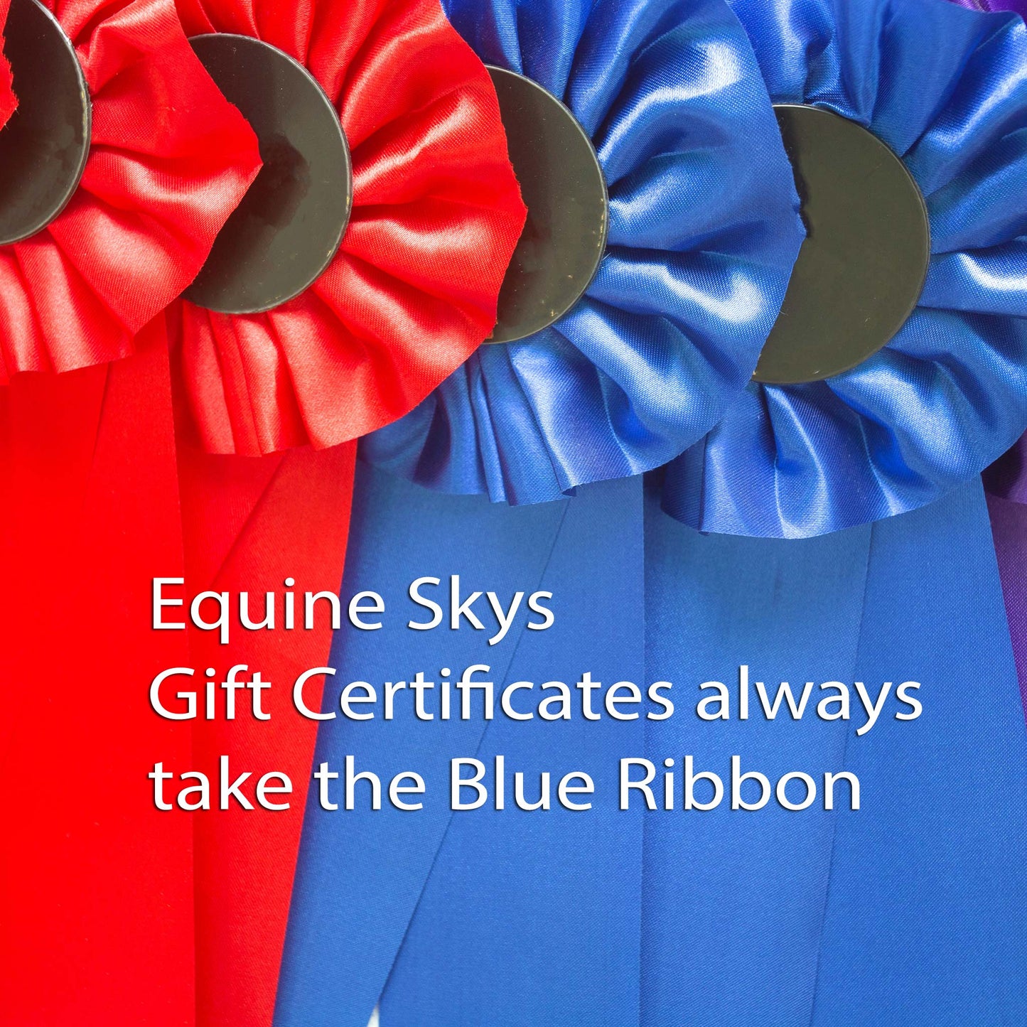 Certificados de regalo de EquineSkys